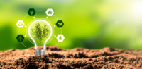 Green and profitability: are they mutually exclusive?