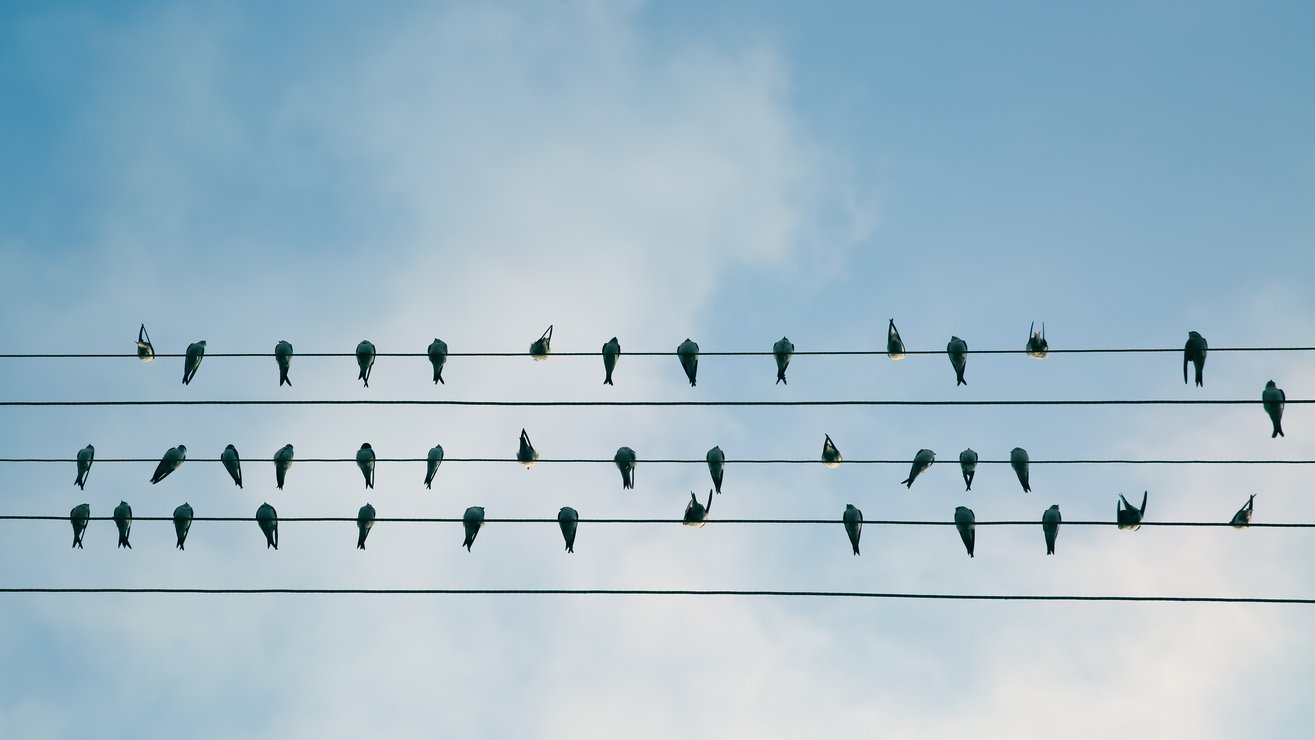 Future focus: How to recruit for the evolution of the utilities sector