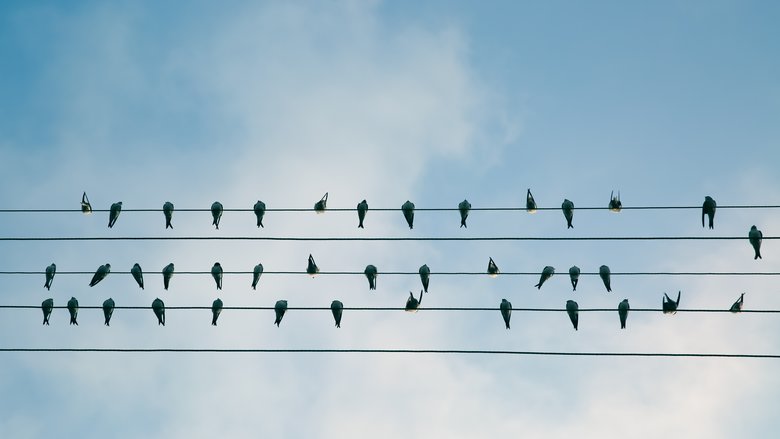 Future focus: How to recruit for the evolution of the utilities sector
