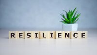 Building Resilience as an Interim