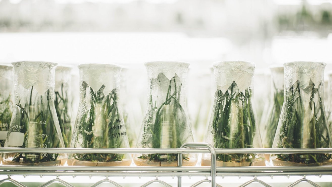 Case Study: Interim Business Transformation Director at Huntsman Pigments and Additives