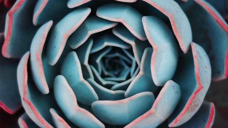 How to grow your business with what you’ve got