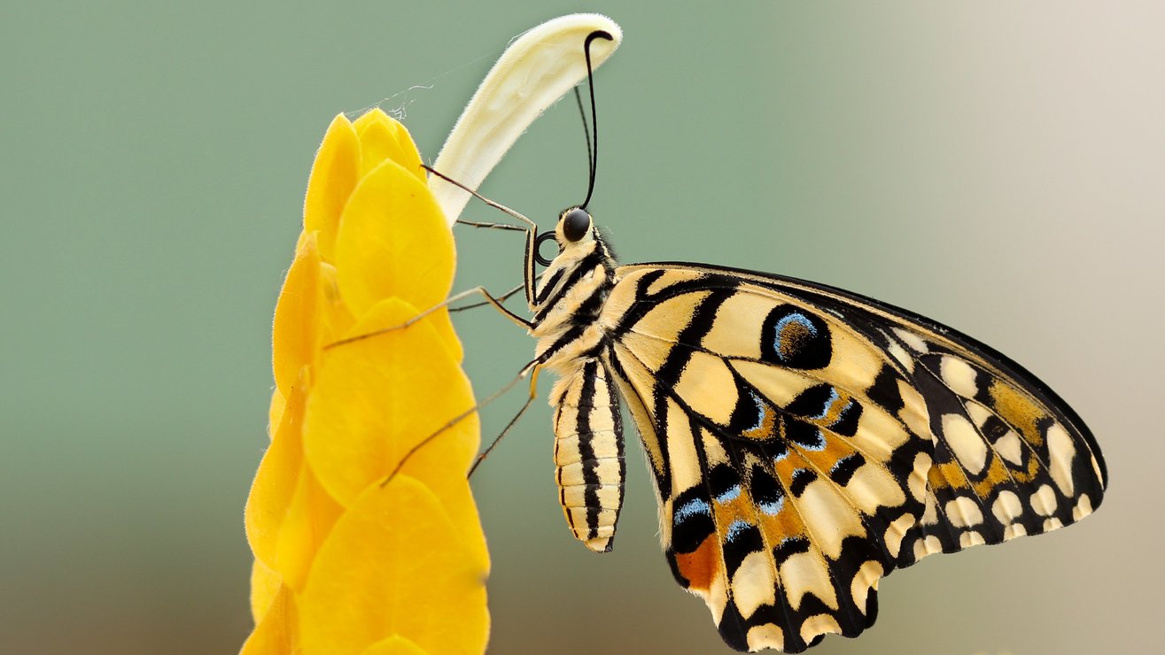 The Art of Managing Change