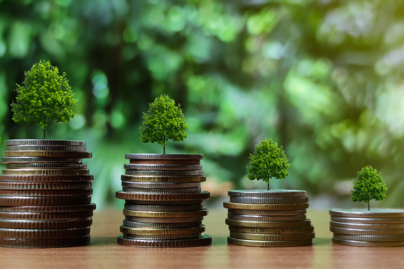 The right balance between ESG and profitability