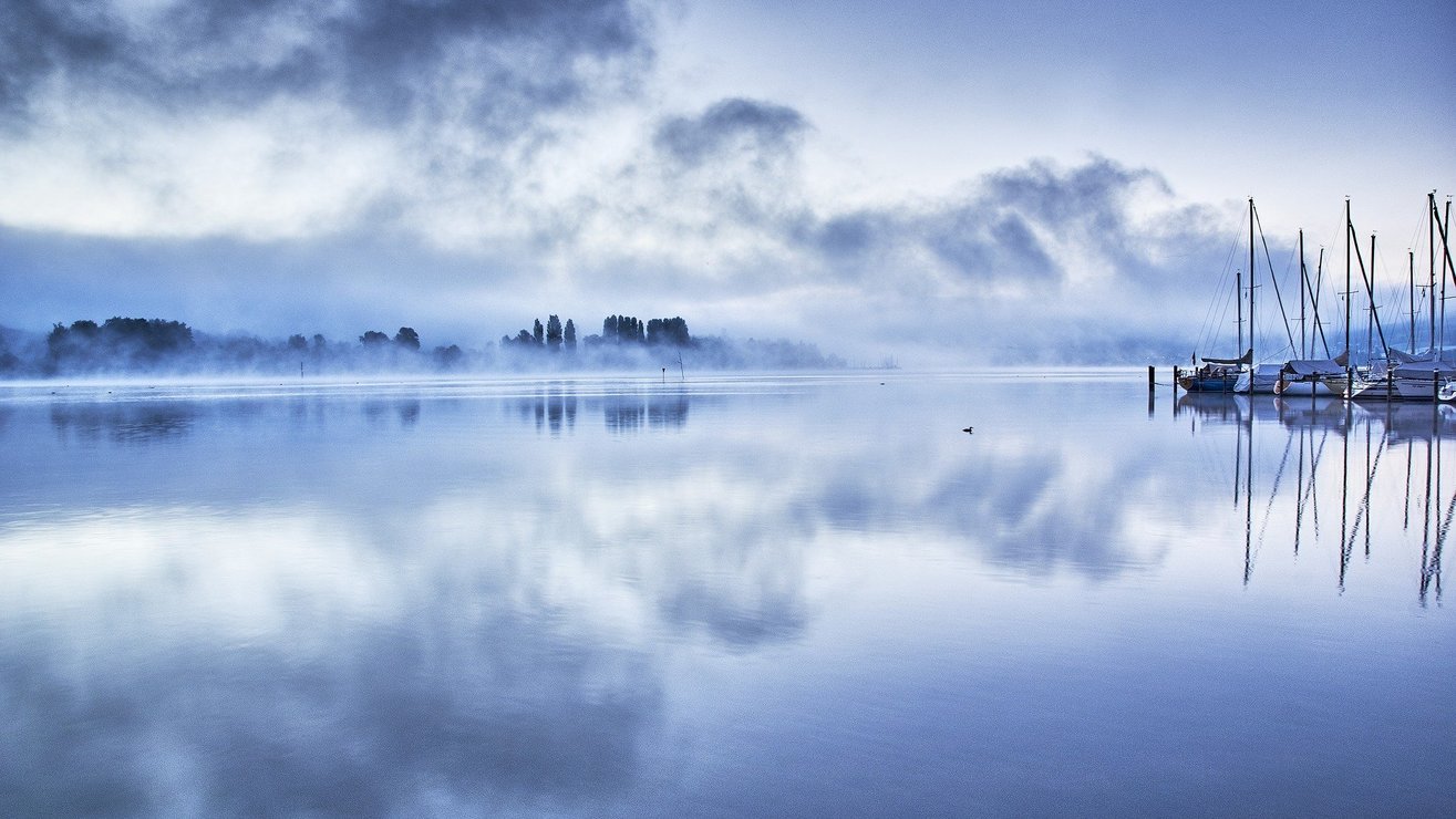 An Interim: A light in the fog
