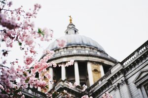 Candidates in the spotlight at Spring Drinks Reception