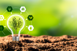 Green and profitability: are they mutually exclusive?