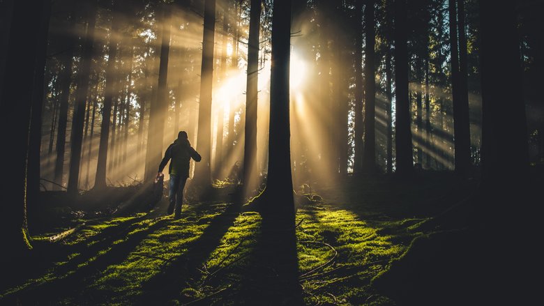 Support Services: Transforming a traditional business model