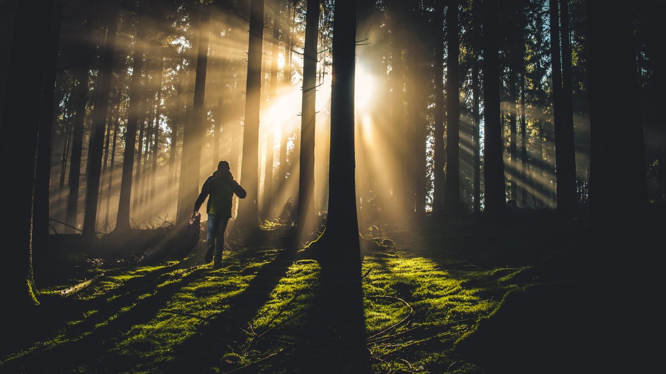 Support Services: Transforming a traditional business model