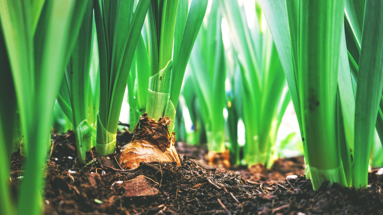 Signs of revival in interim consumer market