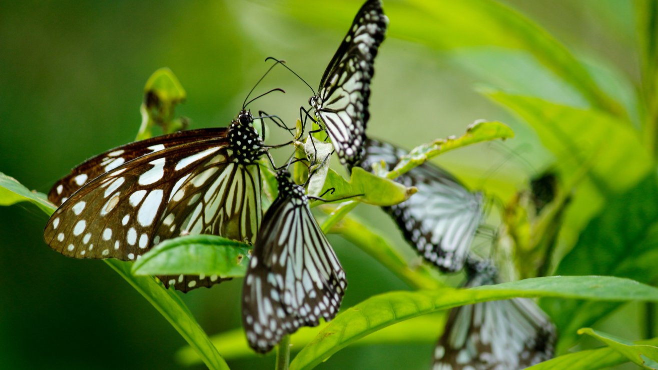 Transformation: 5 key challenges and how to overcome them