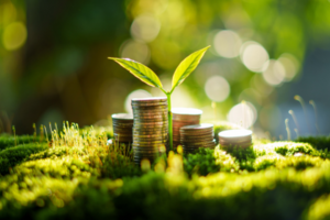 Reflections on the 2025 Comprehensive Spending Review and its Implications for Local Government