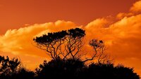 Managing change to support success within Local Government