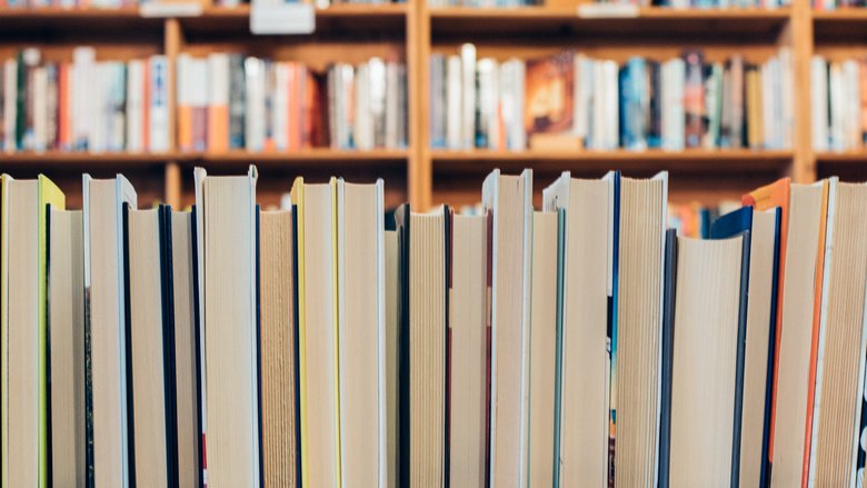 Guest Interview with Justine Abbott, Interim in the Education sector