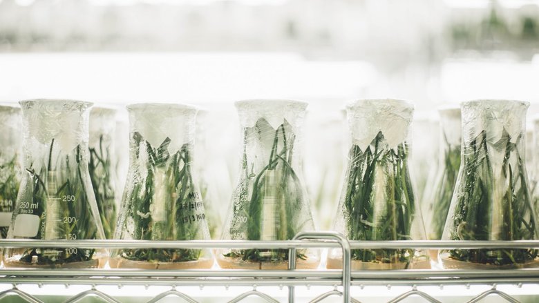 Case Study: Interim Business Transformation Director at Huntsman Pigments and Additives