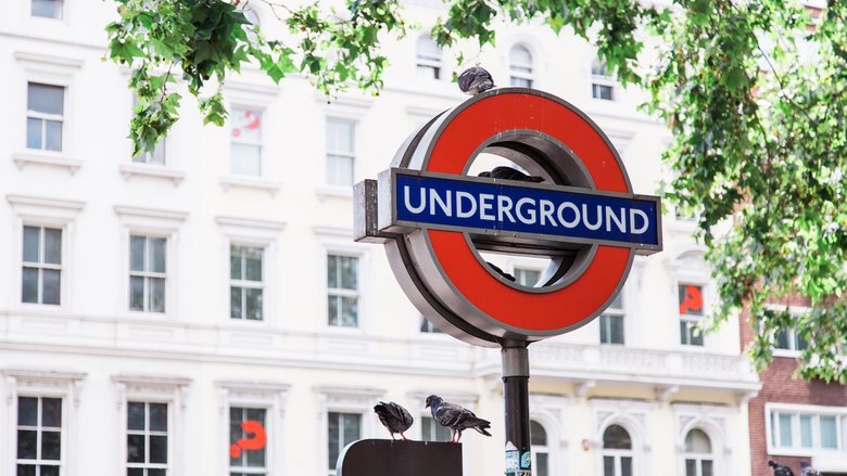 Case Study: Interim Head of Projects, EMEA at Vix Technology